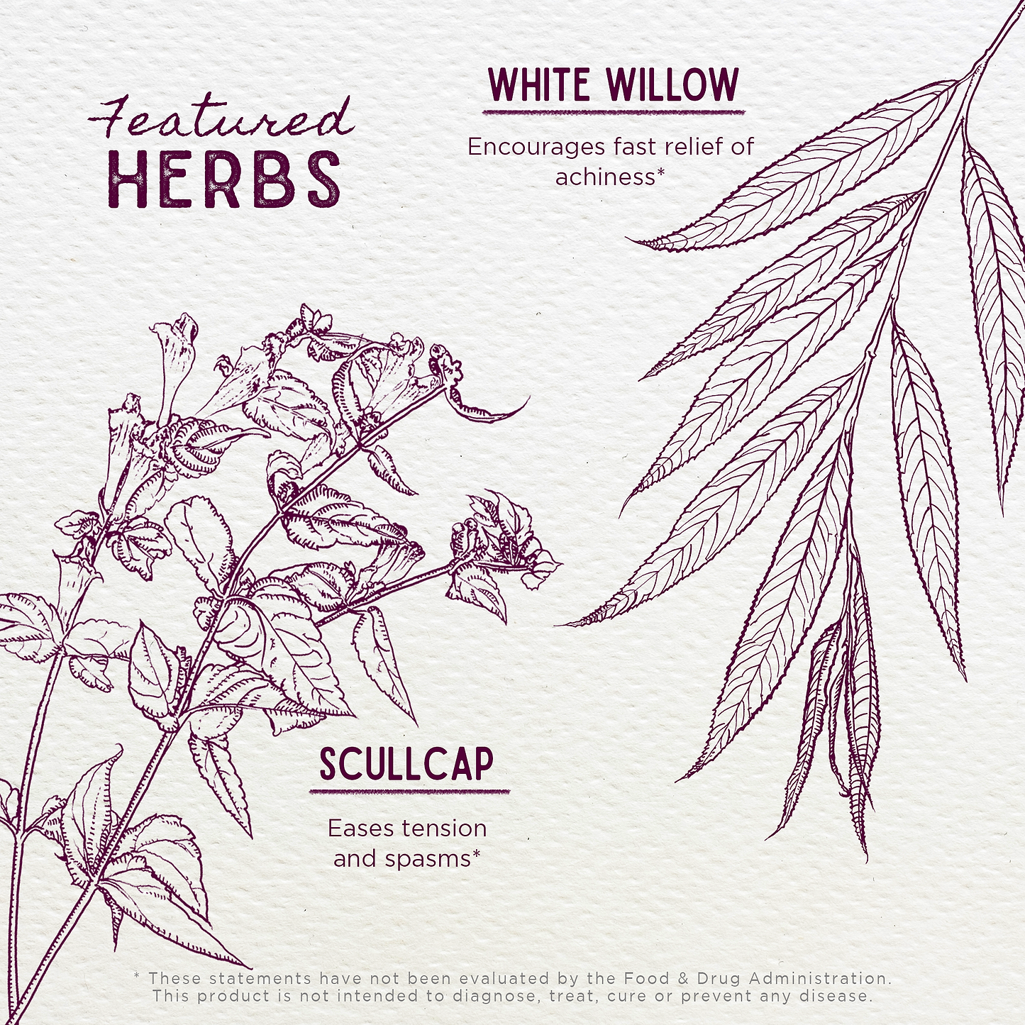 Featured Herbs in Cranial Comfort Tension Release