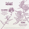 Featured Herbs in Serious Cough Soothing & Quieting