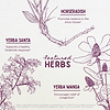 Featured Herbs in Cedar-Free Texas Allergy & Sinus