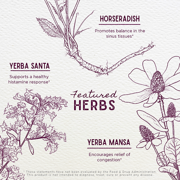 Featured Herbs in Cedar-Free Texas Allergy & Sinus