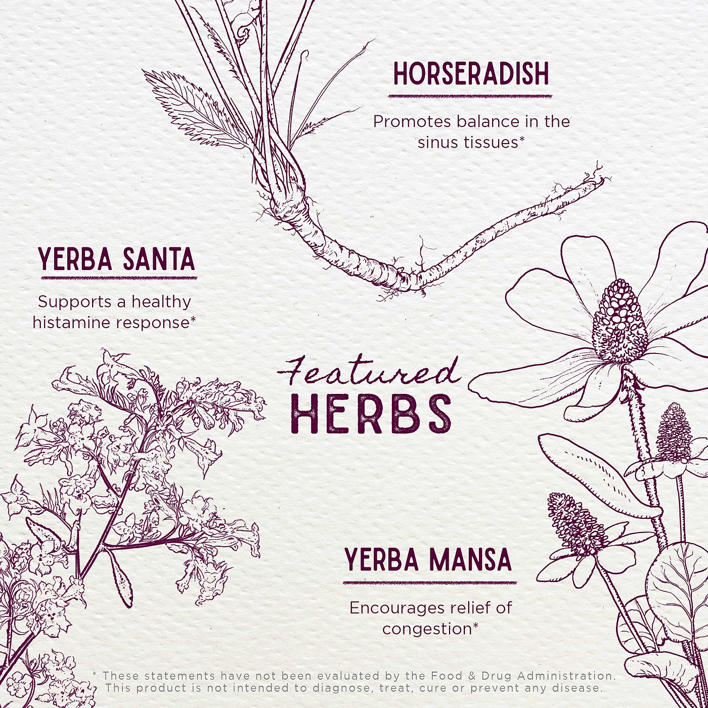 Featured Herbs in Cedar-Free Texas Allergy & Sinus