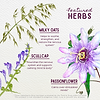 Featured Herbs in Quiet Time Calm & Center For Kids