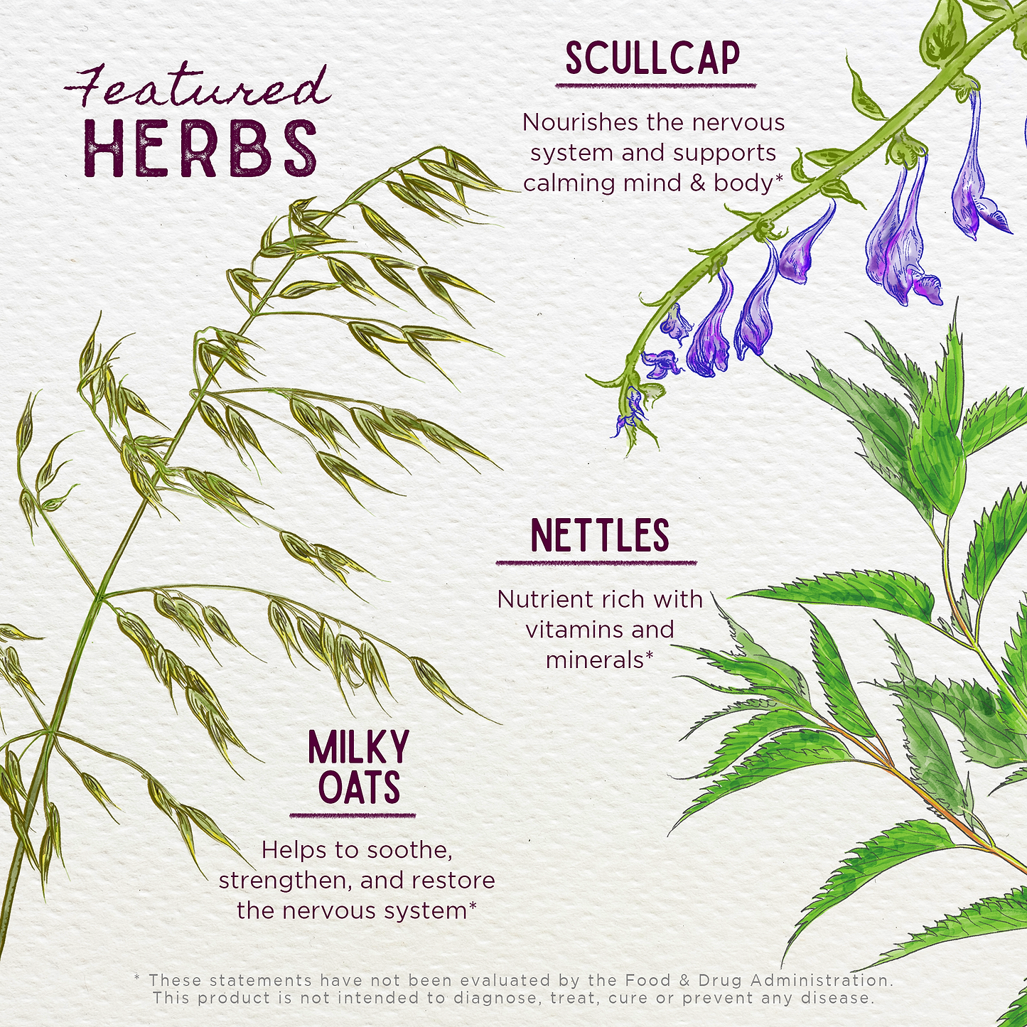 Featured Herbs in Growing Pains Ache Away For Kids