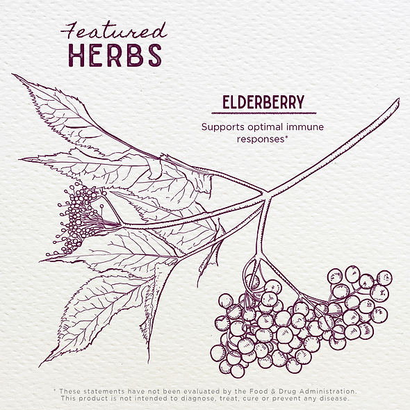 Featured Herbs in Elderberry