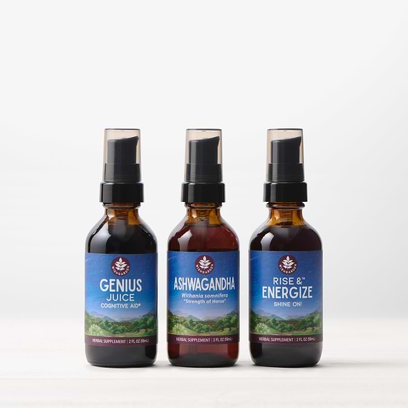 Energy Builder Bundle