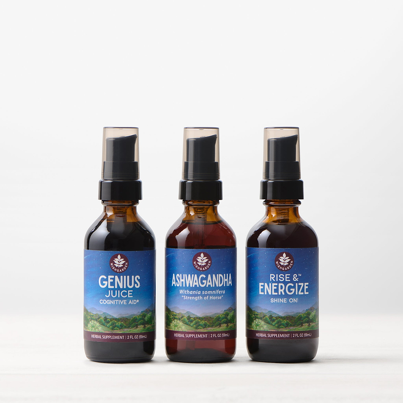 Energy Builder Bundle