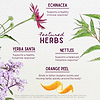 Kick-Ass Allergy & Sinus Featured Herbs