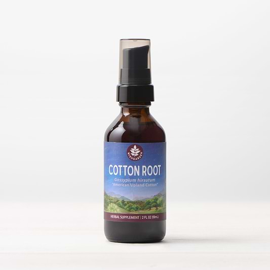 Cotton Root