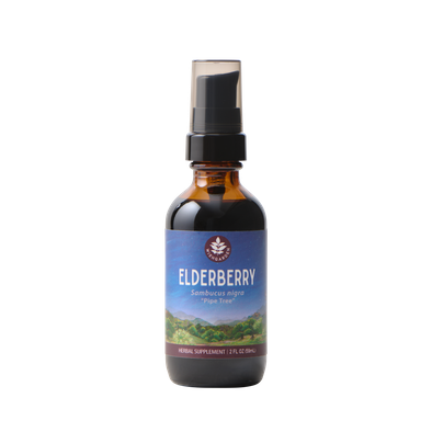 Elderberry