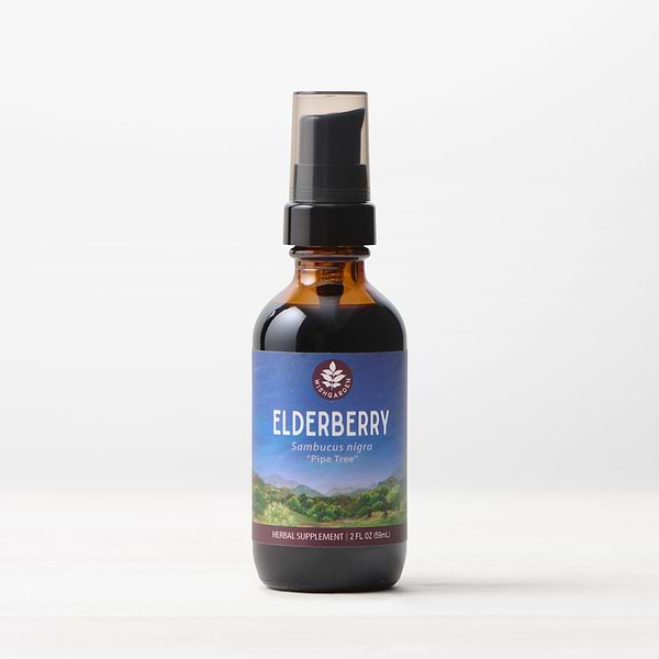 Elderberry