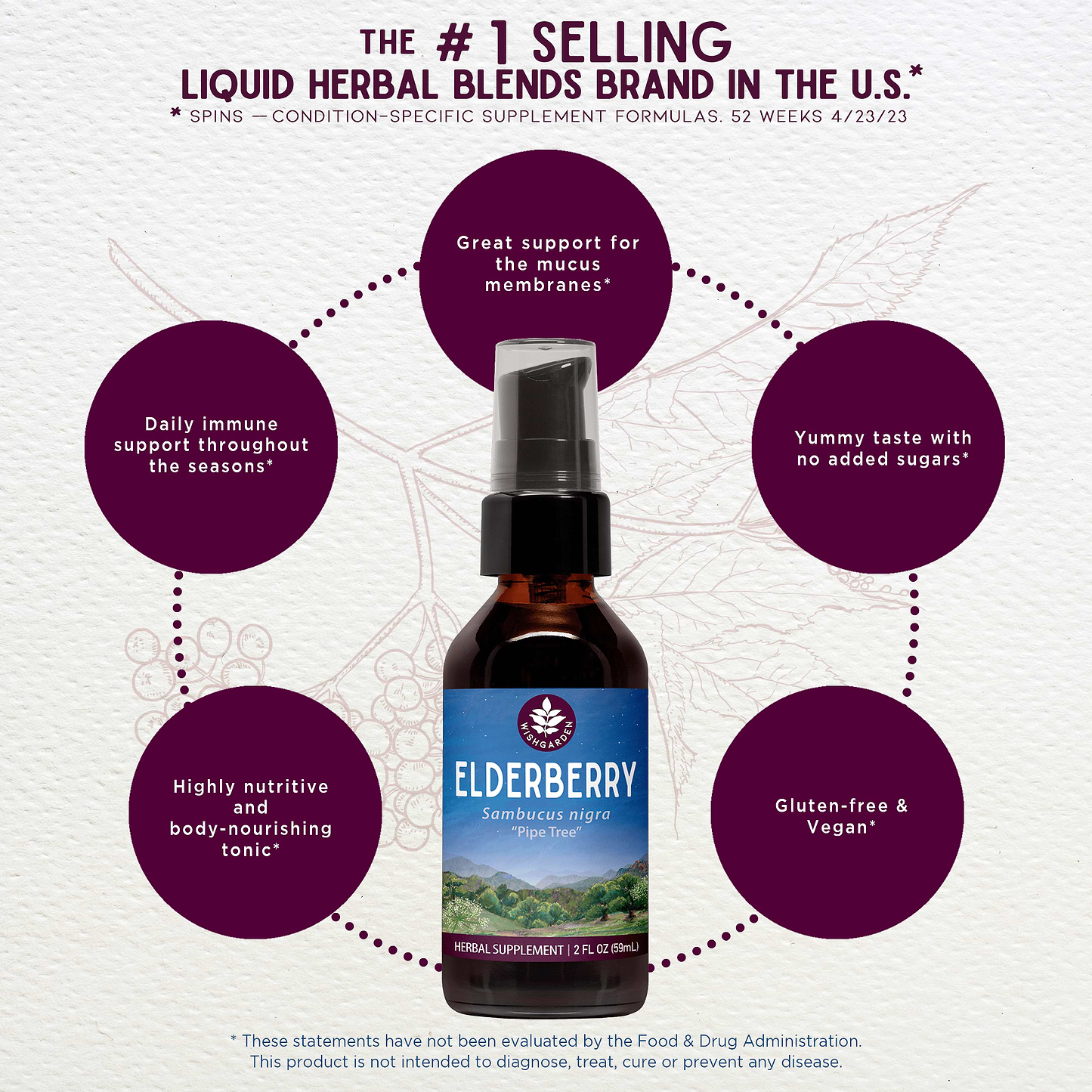 Benefits of Elderberry