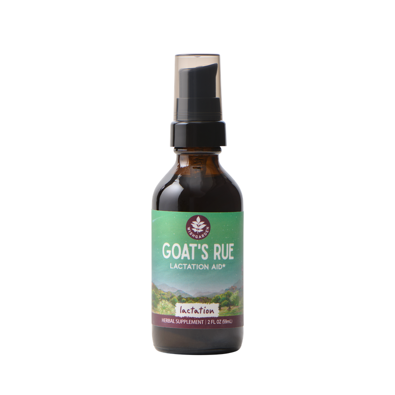 Goat's Rue Lactation Aid