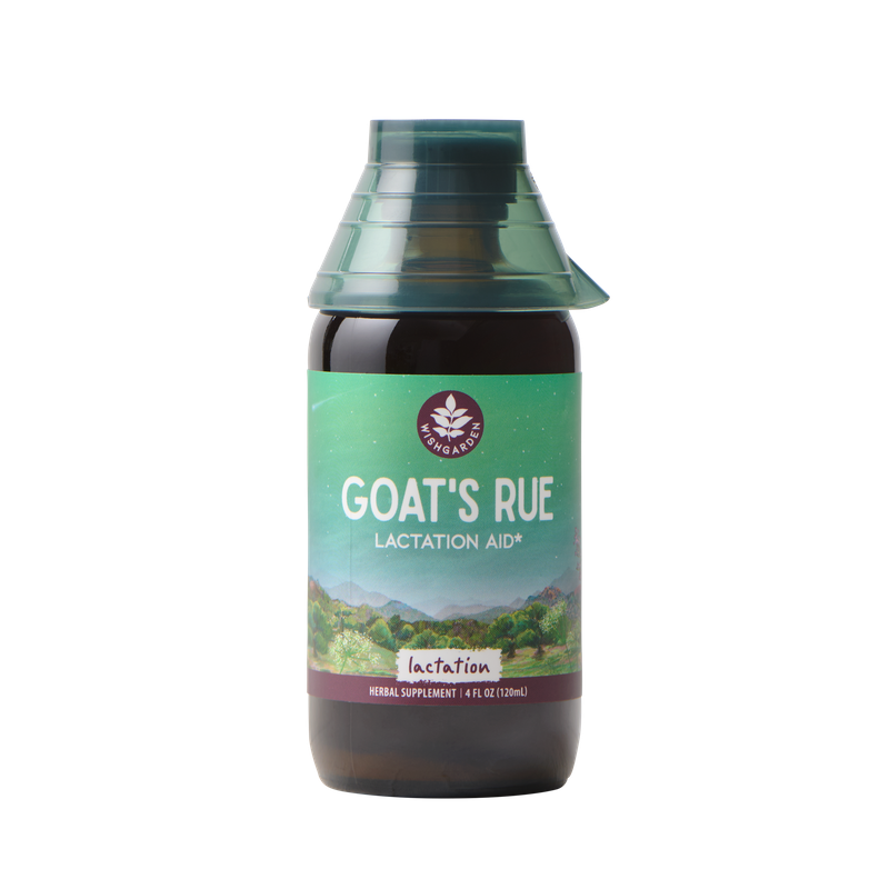 Goat's Rue Lactation Aid