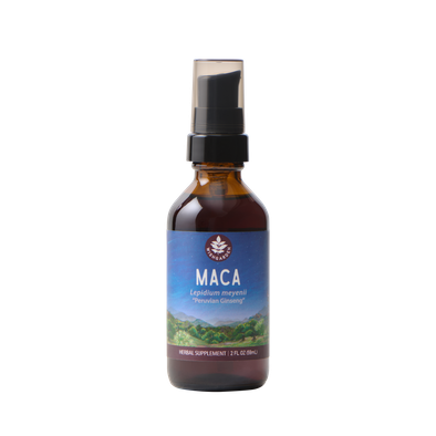 Maca