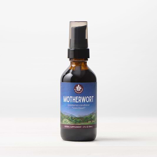 Motherwort