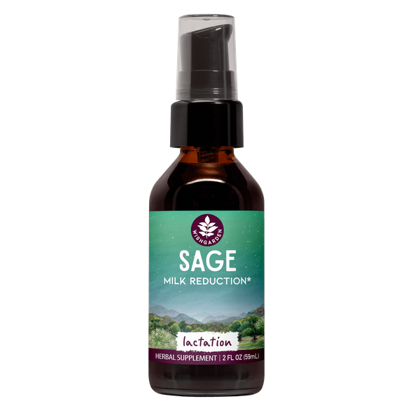 Sage Milk Reduction 2oz Pump