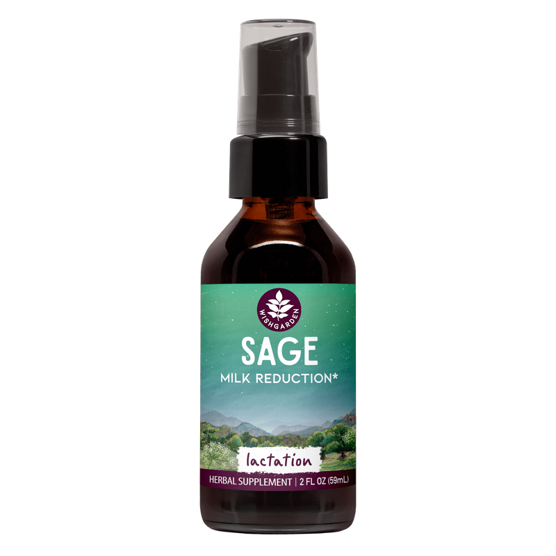 Sage Milk Reduction 2oz Pump
