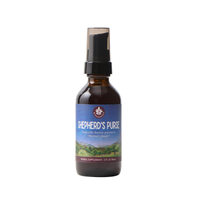 Shepherd's Purse