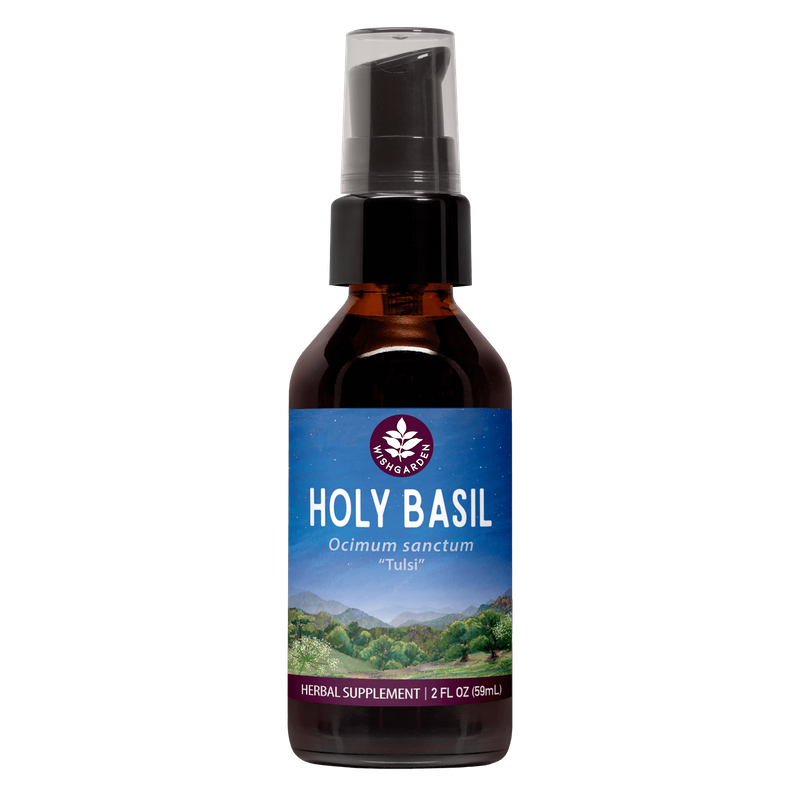 Holy Basil 2oz Pump