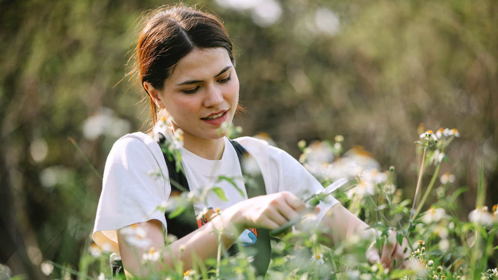 Beat the Burnout: Adrenal Fatigue & Adaptogenic Herb Support