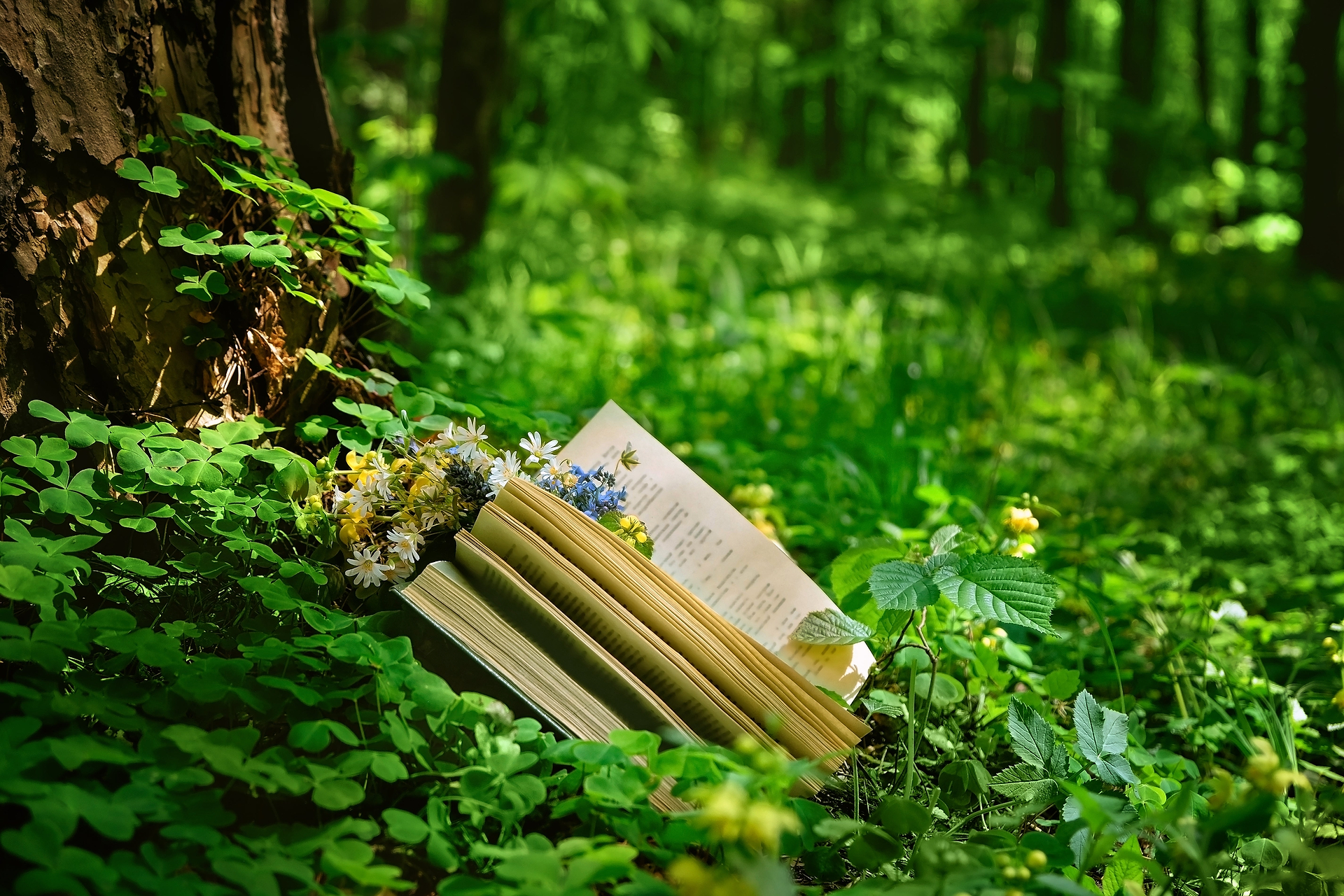 5 Essential Herbalism Books: From Herb-Curious to Herb-Confident