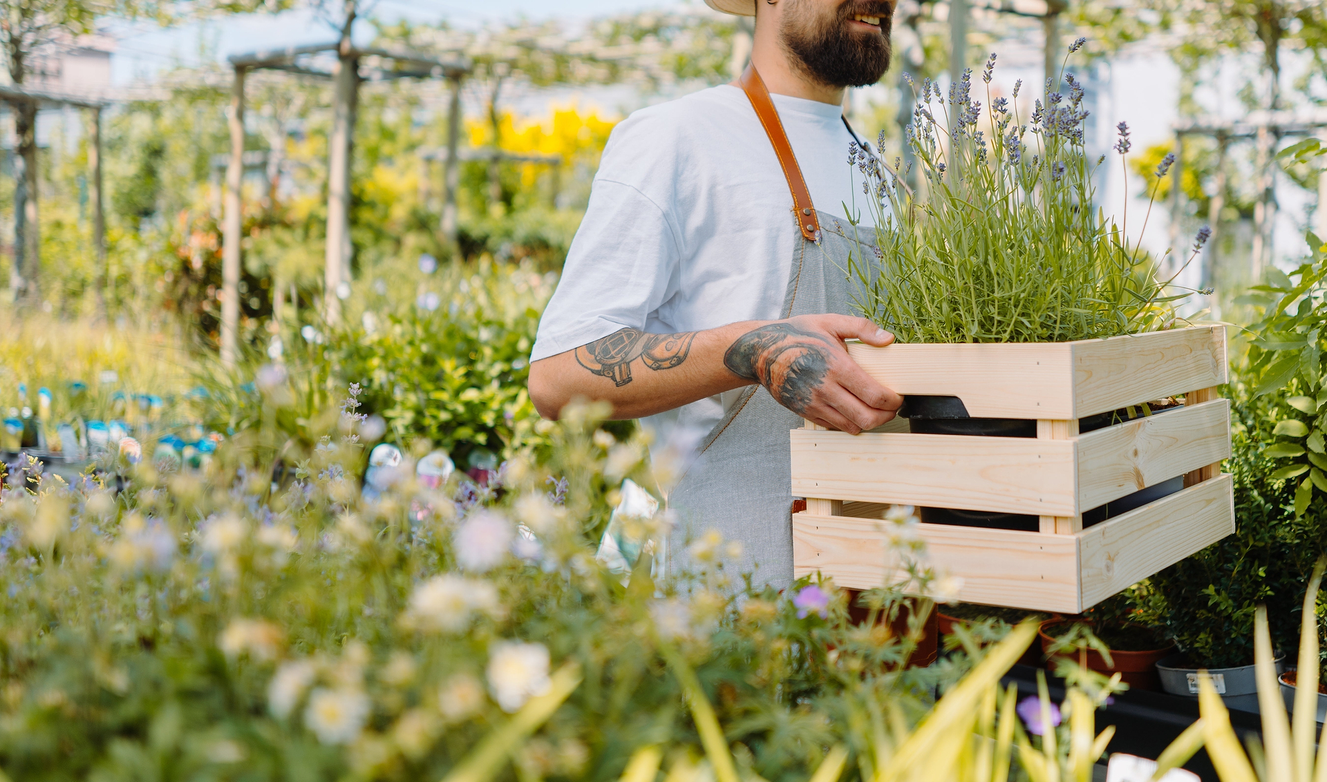 Herbalism 101: What Is Herbalism?