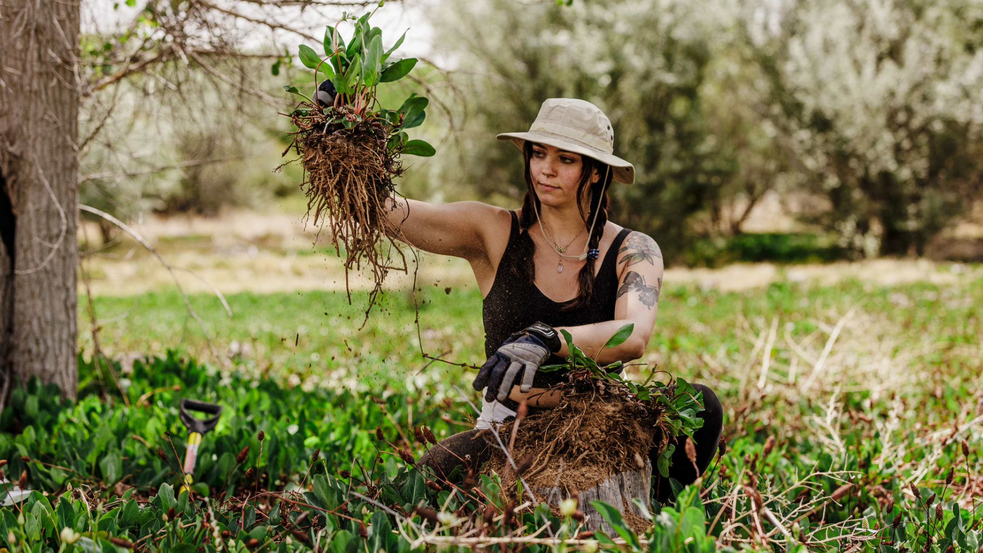 Preserving the Legacy of Yerba Mansa: The Jewel of the Rio Grande Bosque