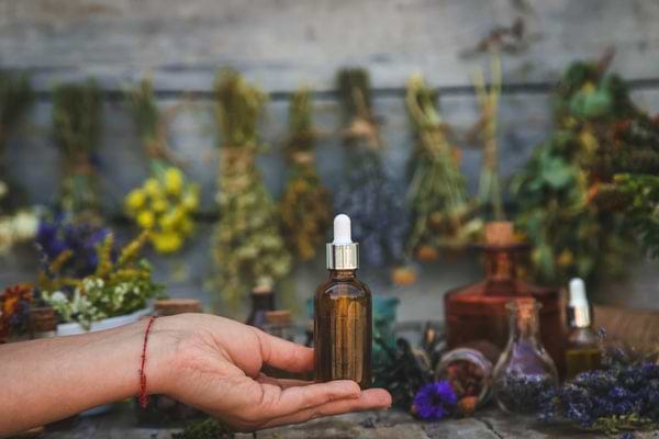 Classic Lemon Balm Tincture Recipe