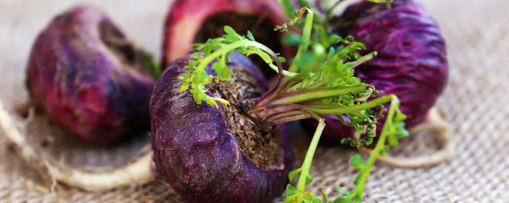 Herb of the Month: Maca