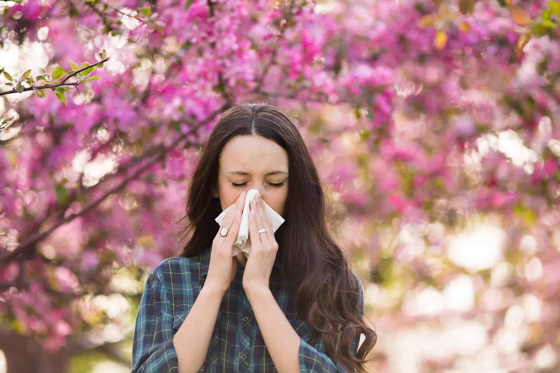 Three Herbal Teas for Seasonal Allergies