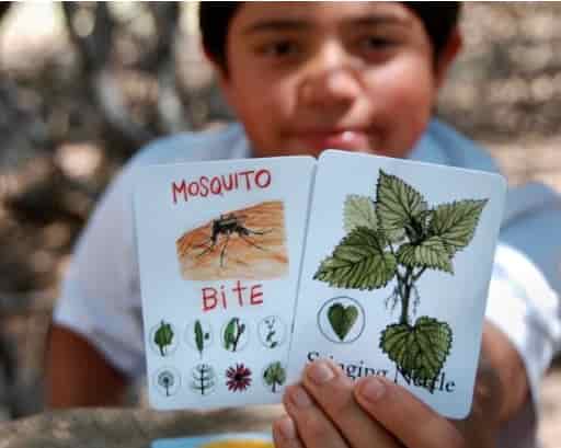 Herbalism and Outdoor Nature Activities for Kids