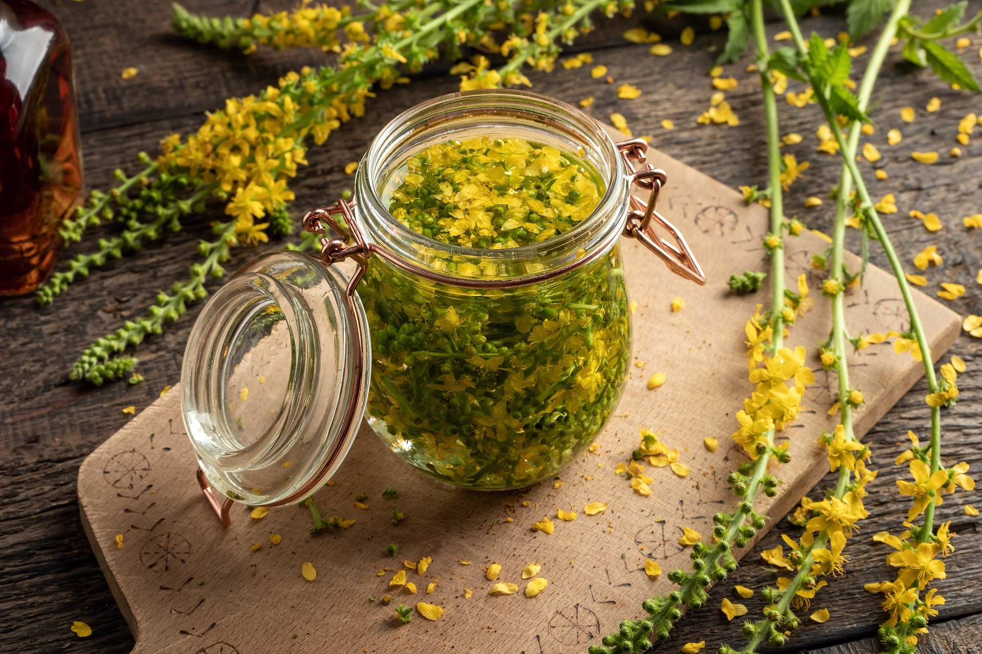 St. John’s Wort Benefits: Herbal Sunshine for Mood & Wellness