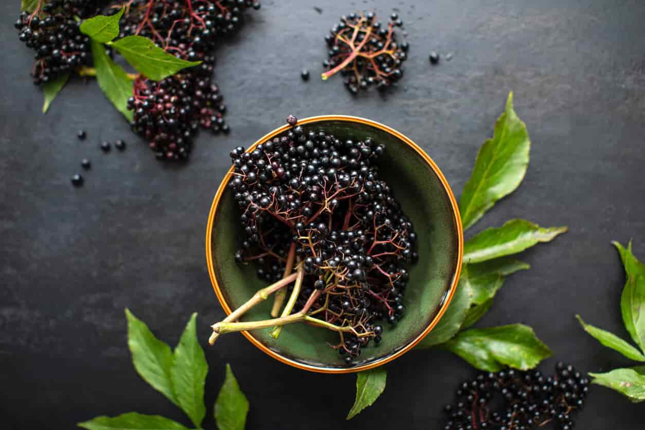 The Benefits Of Elderberry