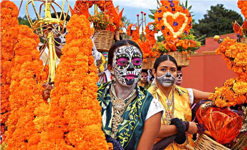 The Botanical Connection in Día de Los Muertos