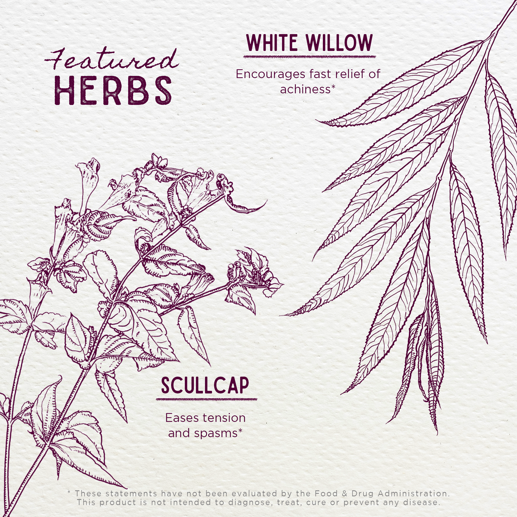 Featured Herbs in Cranial Comfort Tension Release