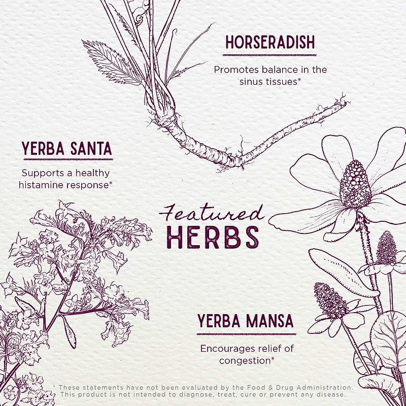 Featured Herbs in Cedar-Free Texas Allergy & Sinus