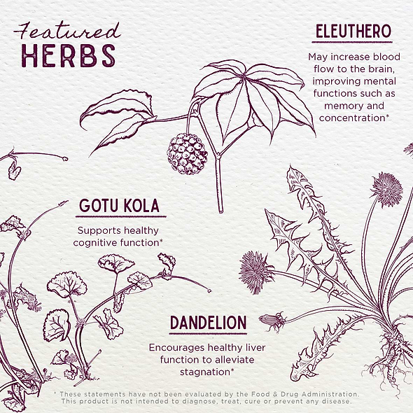 Featured Herbs in Genius Juice Cognitive Aid