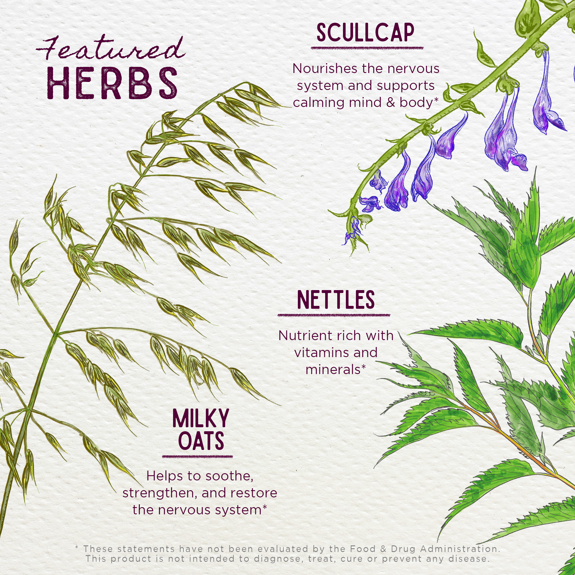 Featured Herbs in Growing Pains Ache Away For Kids