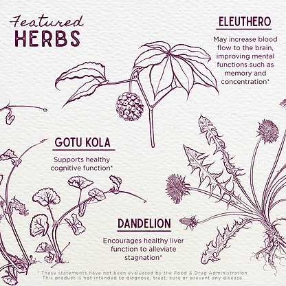 Featured Herbs in Genius Juice Cognitive Aid