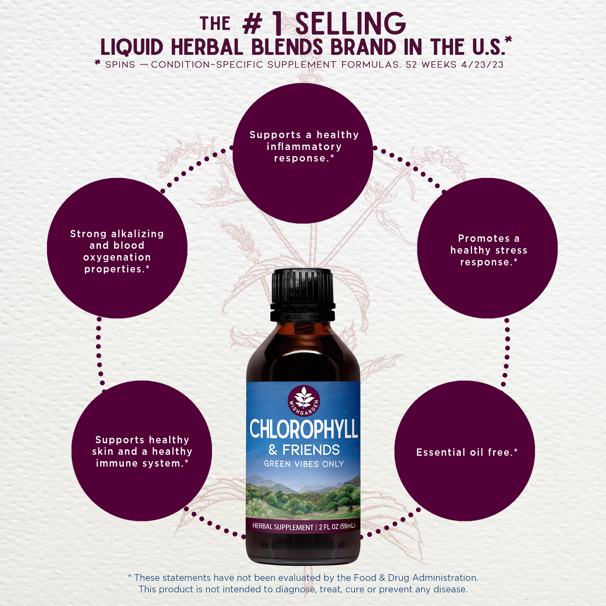 Benefits of Chlorophyll & Friends