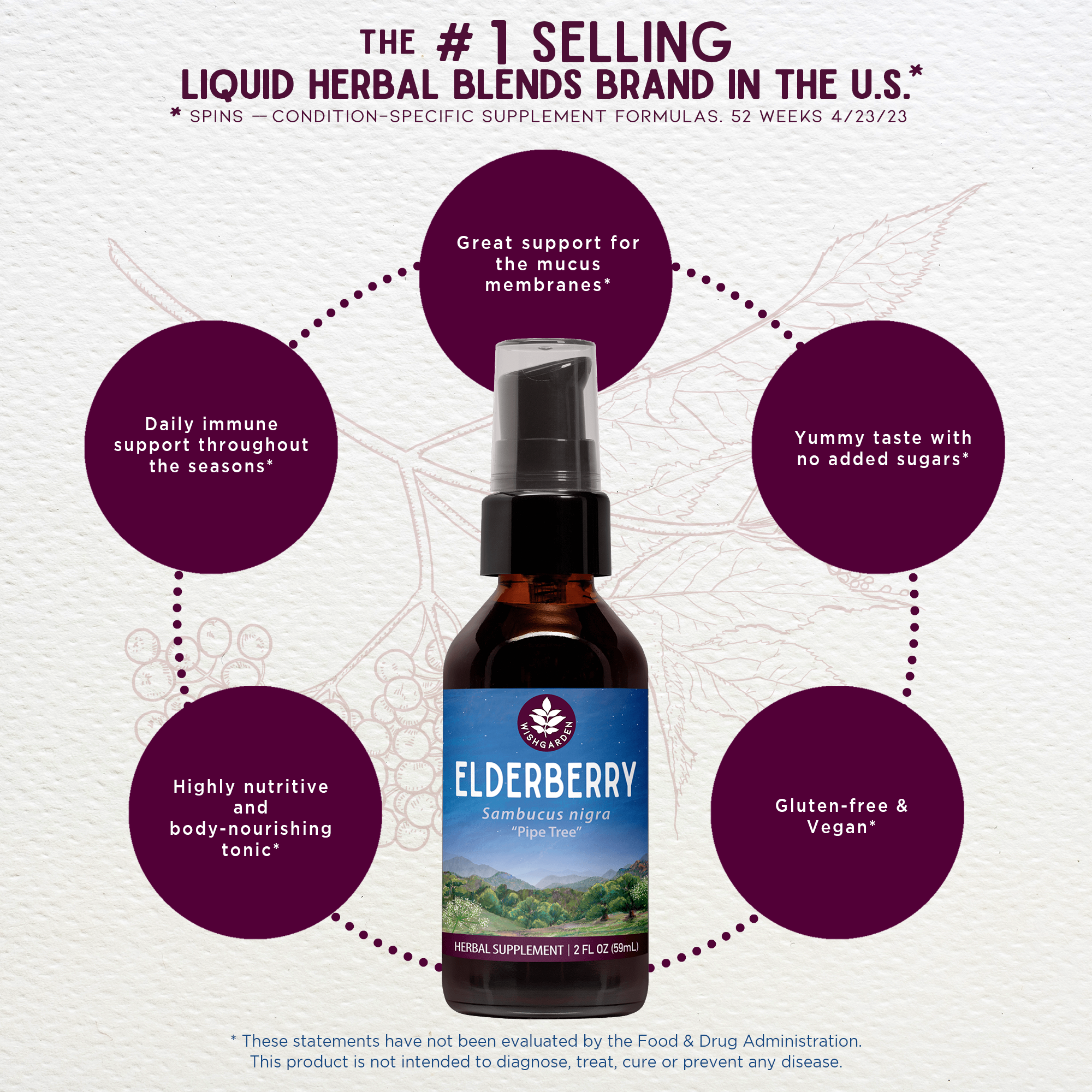 Benefits of Elderberry