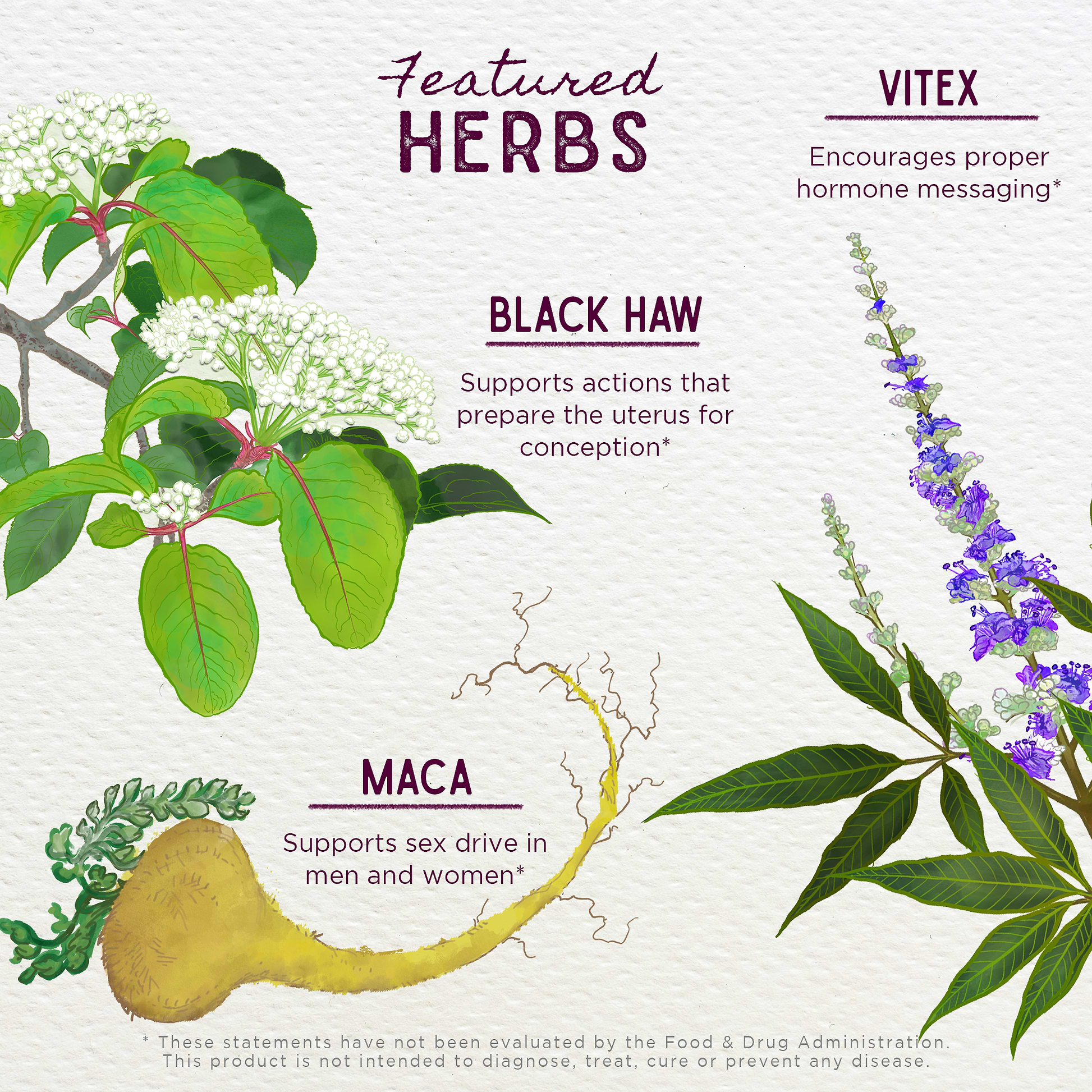 fertility plants Fertility Prep: Best Herbs for Fertility & Conception Support