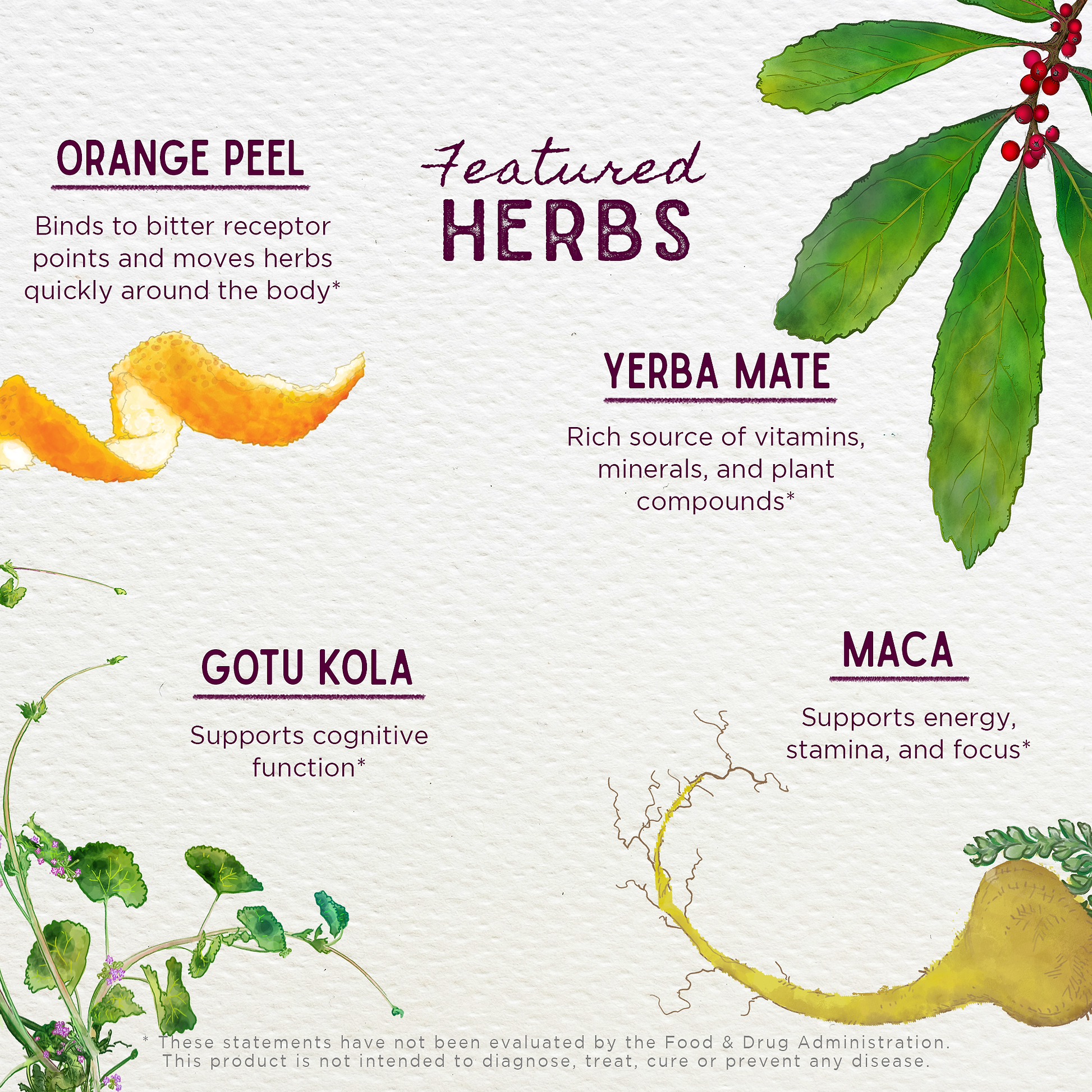 Featured Herbs in Rise & Energize Daily Energy Boost