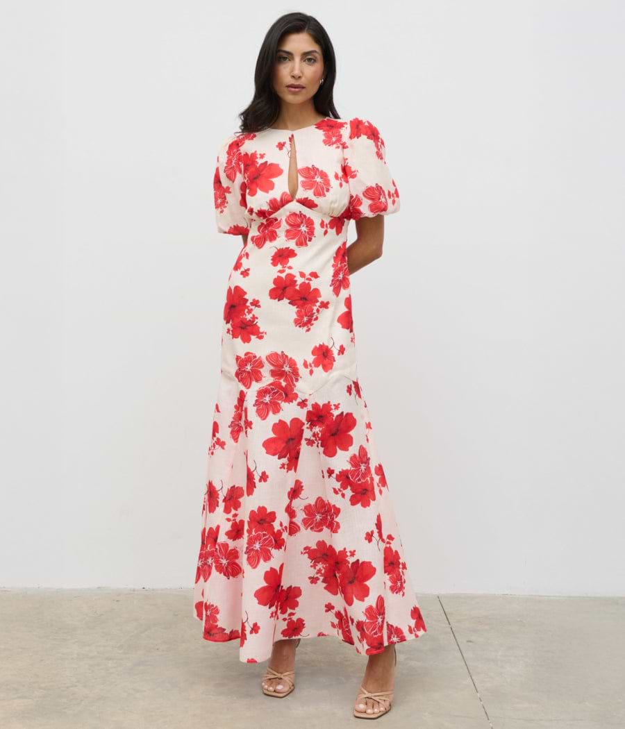Wedding Guest Collection