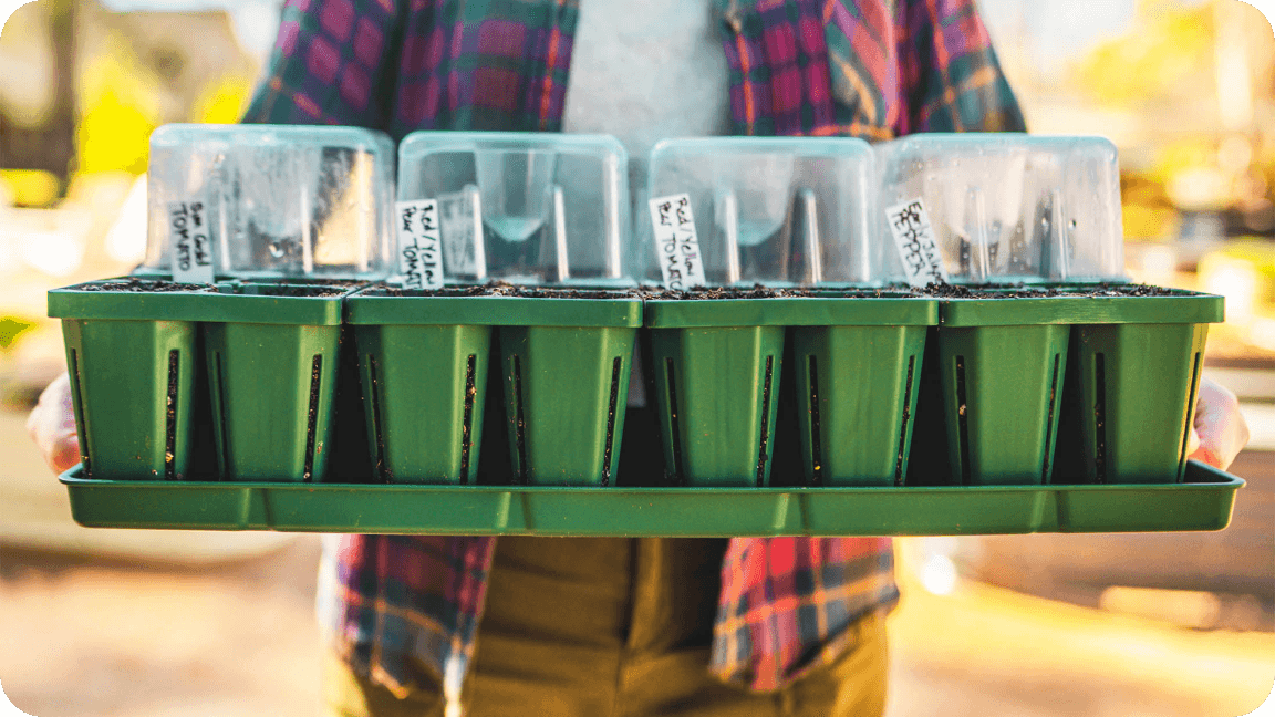 Bottom Watering Tray