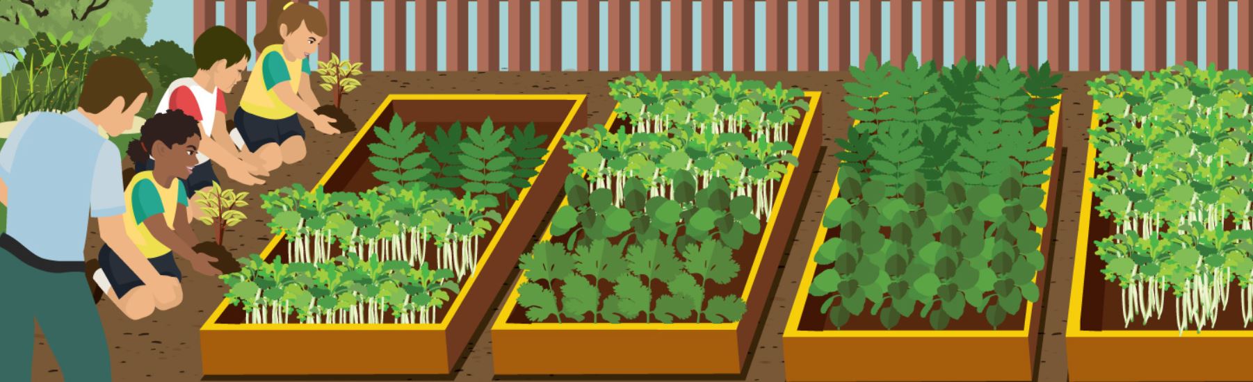 Vego Garden Donation | Vego Garden Giving Back