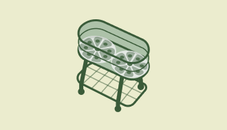 Elevated Beds