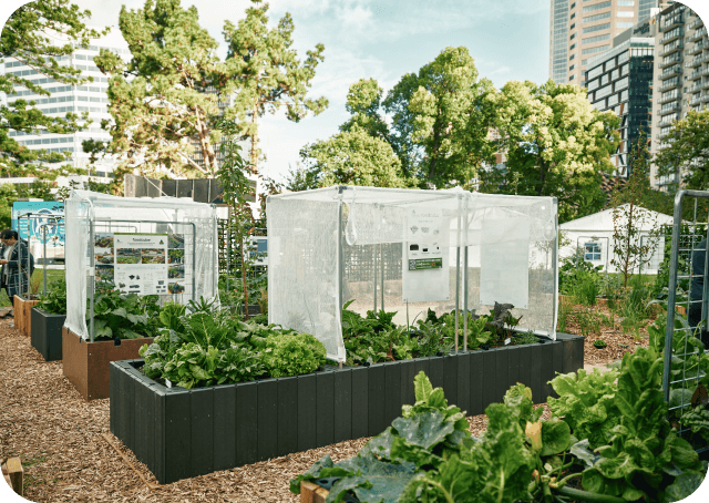 Vego Garden Image