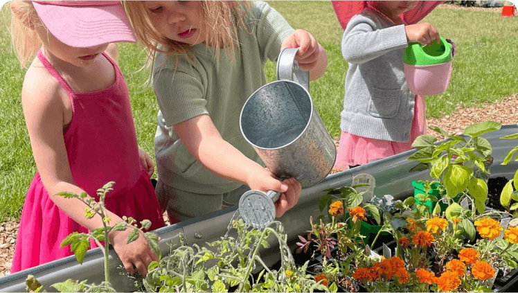 Vego Garden Image