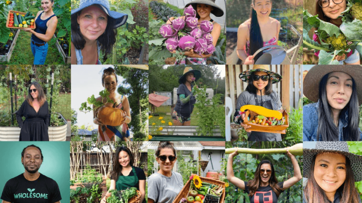 Vego Garden Image